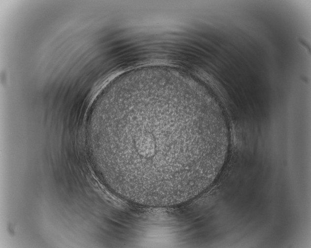 X0000100200828200806201419