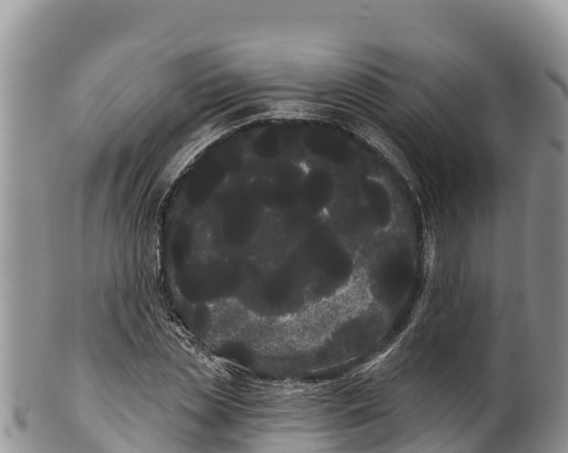 X0000100200829200806201419