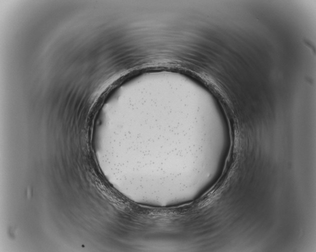 X0000100200830200806201419