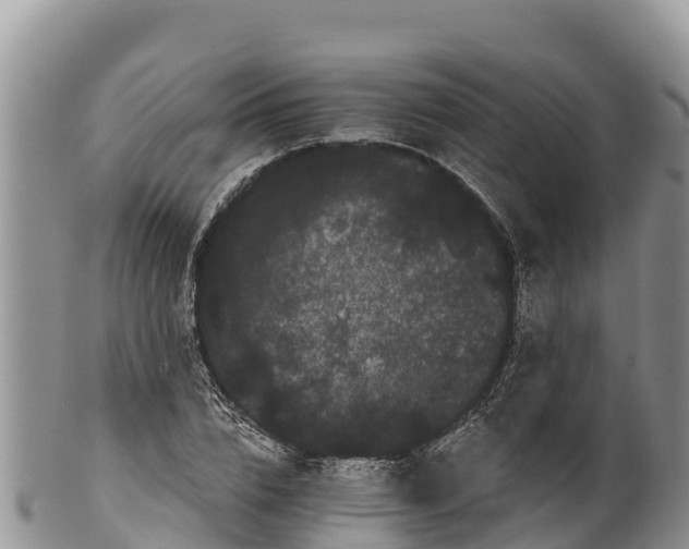 X0000100200832200806201419