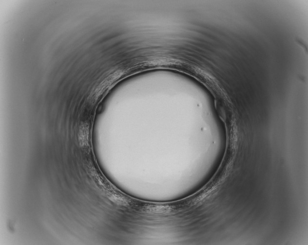 X0000100200833200806201419