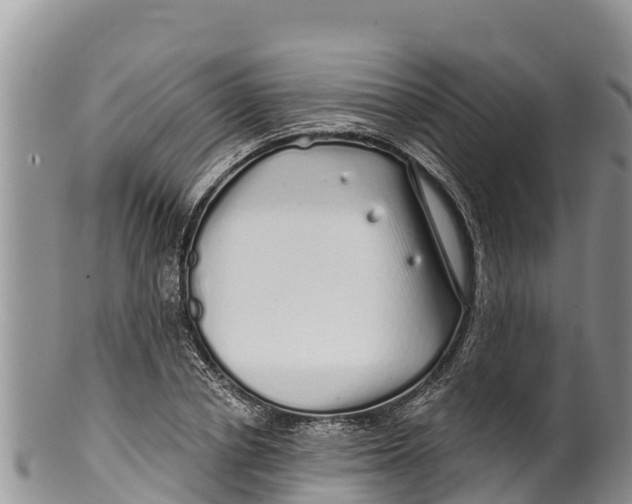 X0000100200834200806201419