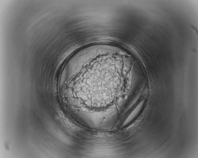 X0000100200835200806201419