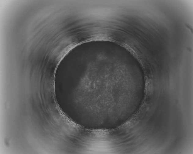 X0000100200836200806201419