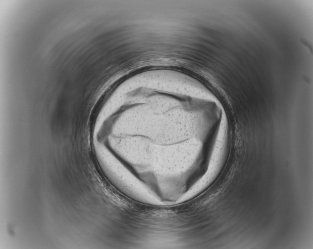 X0000100200837200806201419