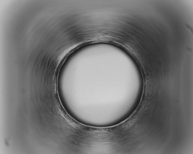 X0000100200838200806201419