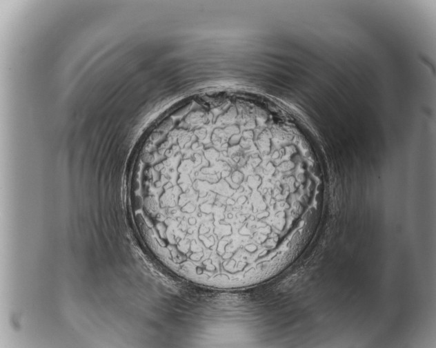 X0000100200839200806201419