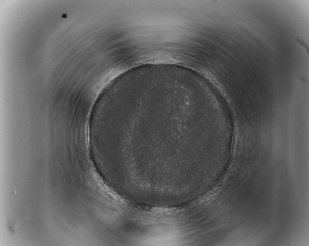 X0000100200840200806201419