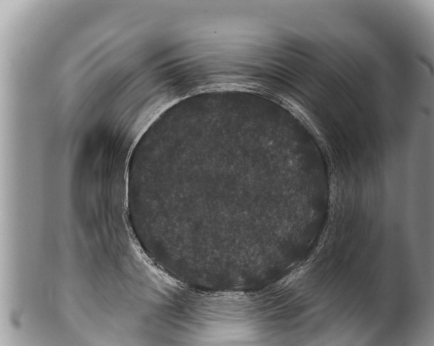 X0000100200844200806201419