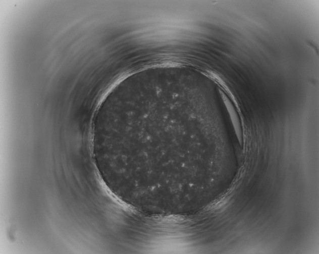 X0000100200851200806201419