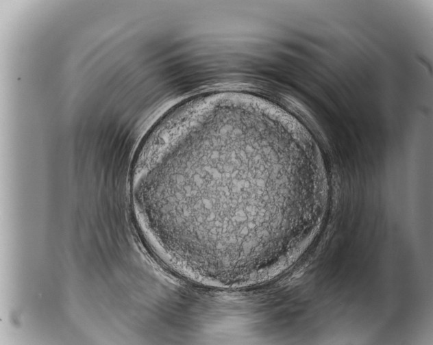 X0000100200852200806201419