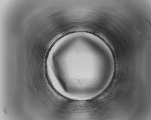 X0000100200853200806201419