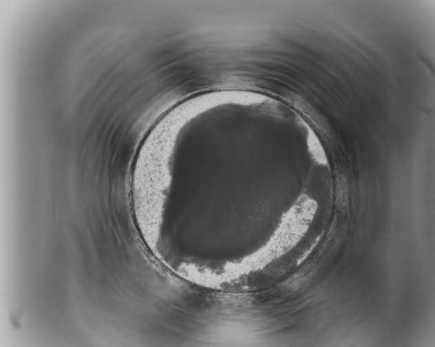 X0000100200856200806201419