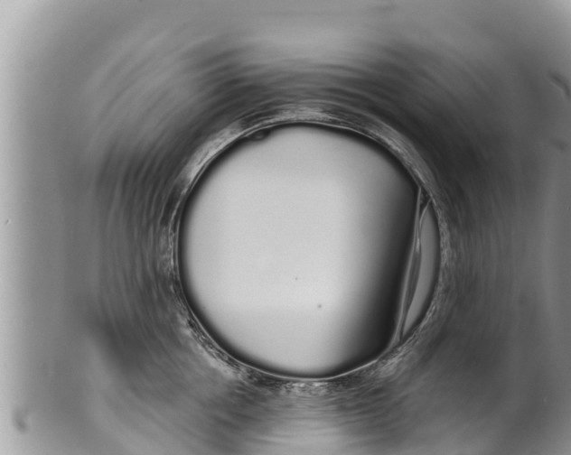 X0000100200858200806201419