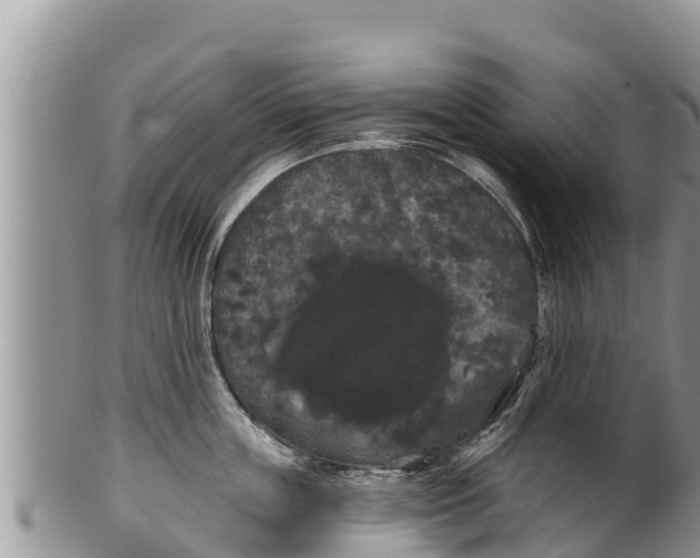 X0000100200859200806201419