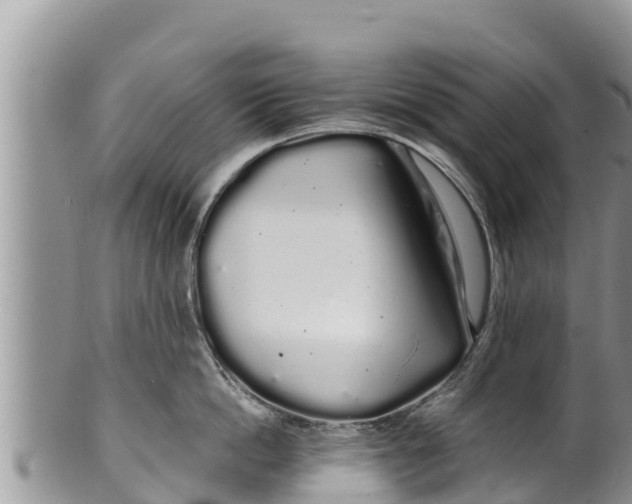 X0000100200862200806201419