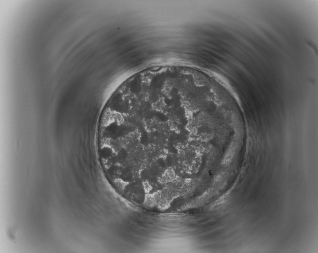 X0000100200863200806201419