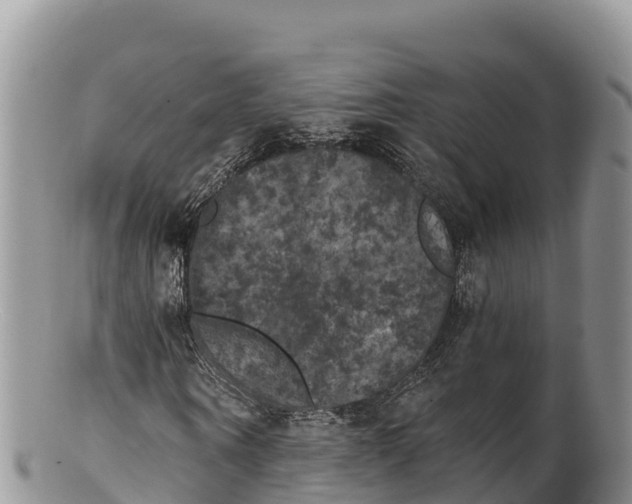 X0000100200866200806201419