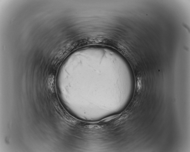 X0000100200867200806201419