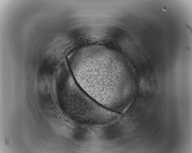 X0000100200868200806201419