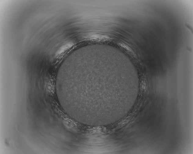 X0000100200869200806201419