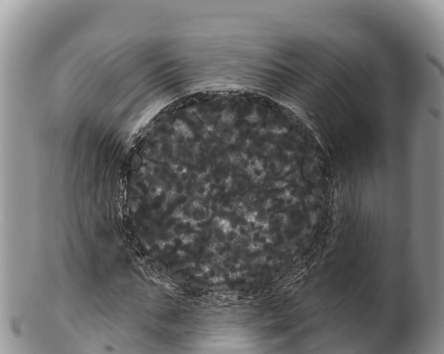 X0000100200871200806201419