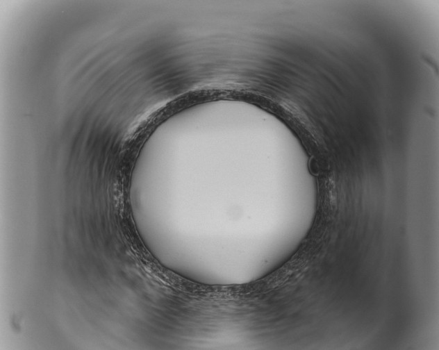 X0000100200872200806201419