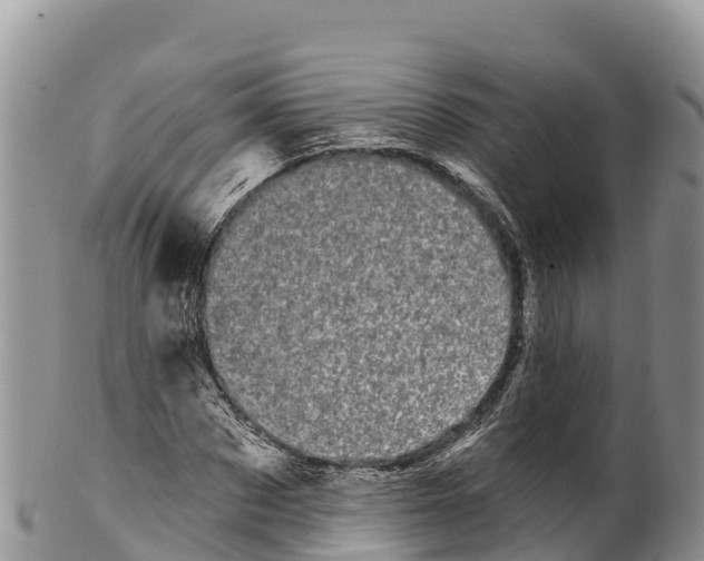 X0000100200873200806201419