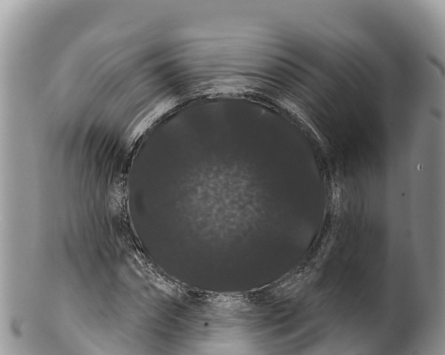 X0000100200874200806201419