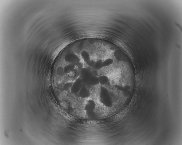 X0000100200875200806201419