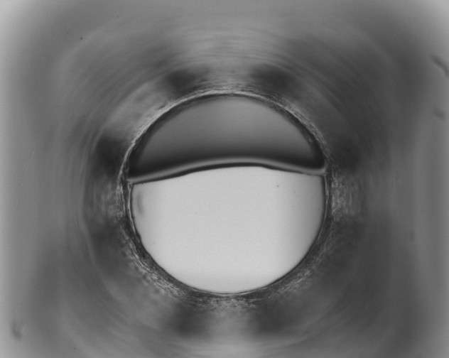 X0000100200876200806201419