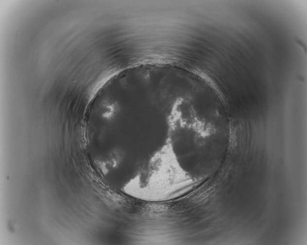 X0000100200878200806201419