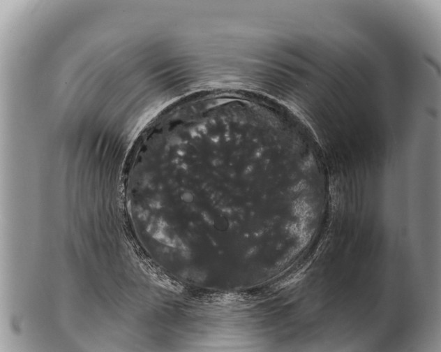 X0000100200879200806201419