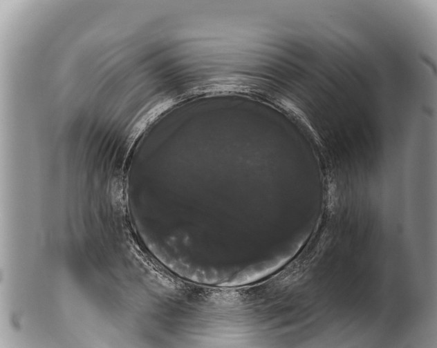 X0000100200882200806201419