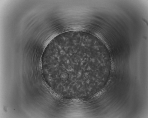 X0000100200883200806201419