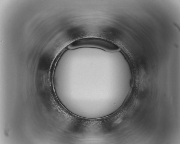 X0000100200884200806201419