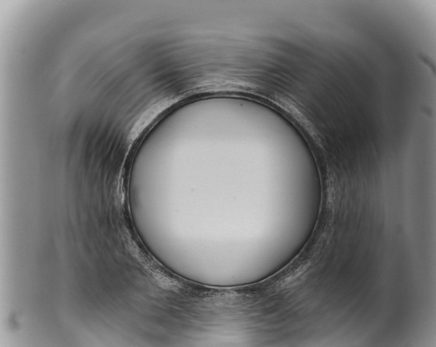 X0000100200885200806201419