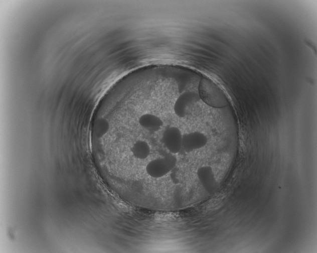 X0000100200887200806201418