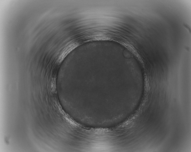 X0000100200889200806201418