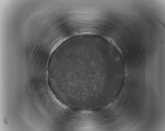 X0000100200890200806201418