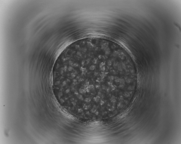 X0000100200891200806201418