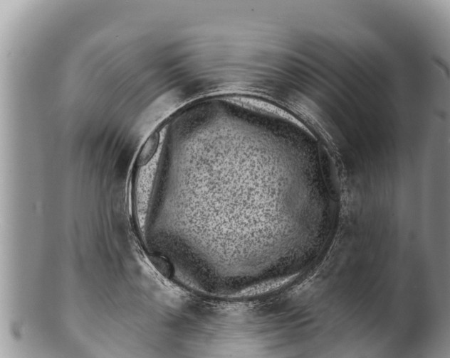 X0000100200892200806201418