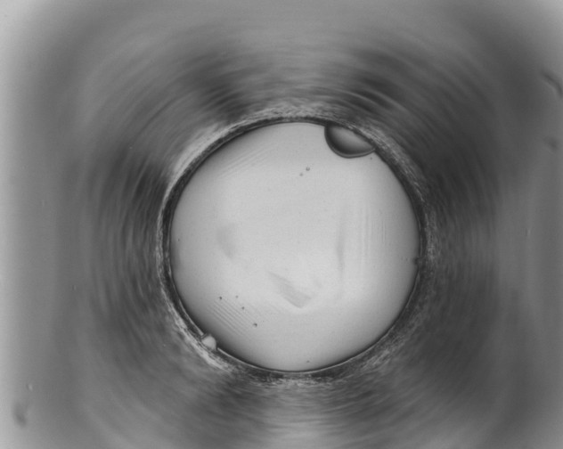 X0000100200894200806201418