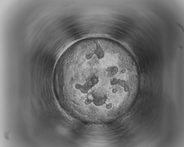 X0000100200895200806201418