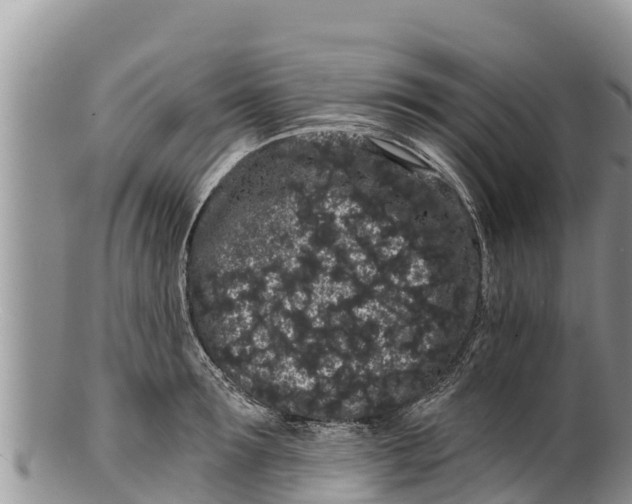 X0000100200899200806201418