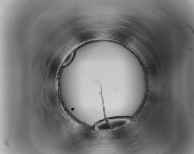 X0000100200900200806201418