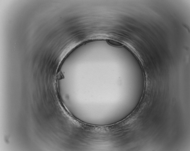 X0000100200901200806201418