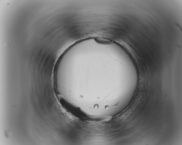 X0000100200902200806201418