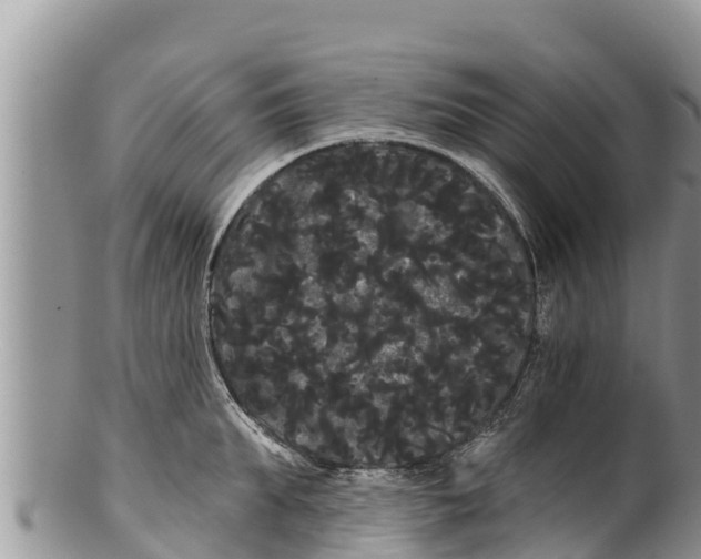 X0000100200903200806201418