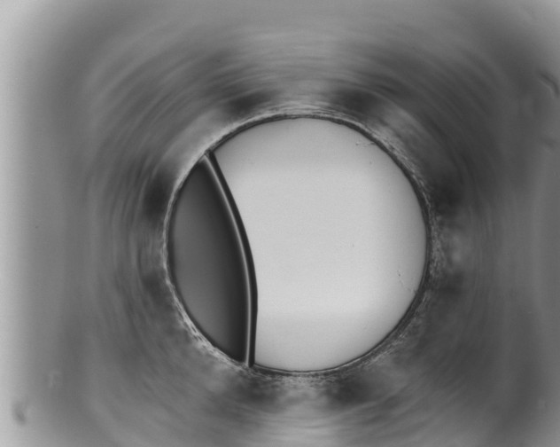 X0000100200904200806201418